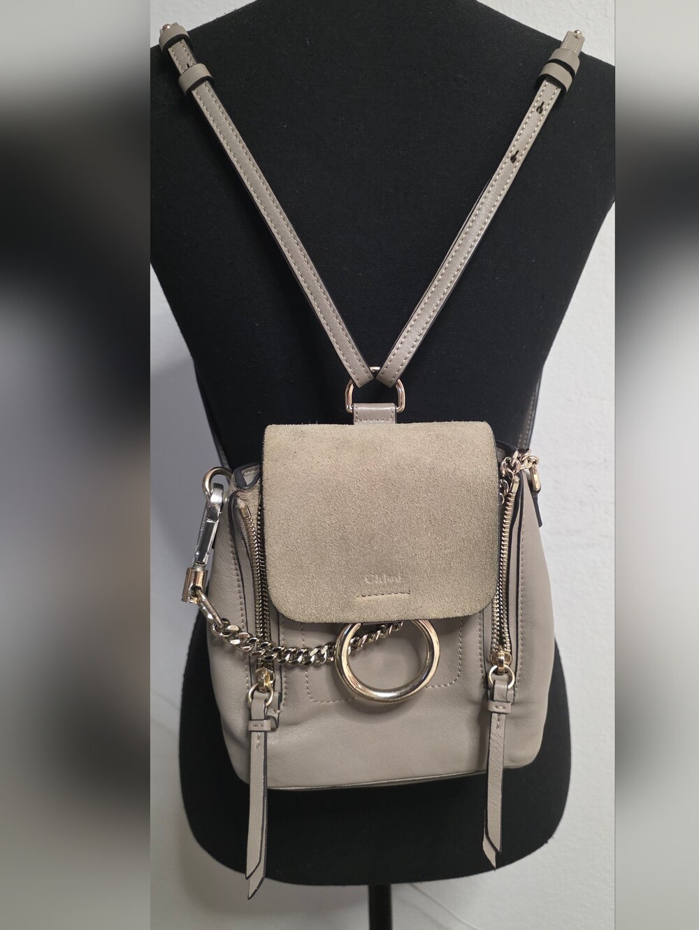Chloe Faye Mini Backpack in Taupe with Suede Flap
